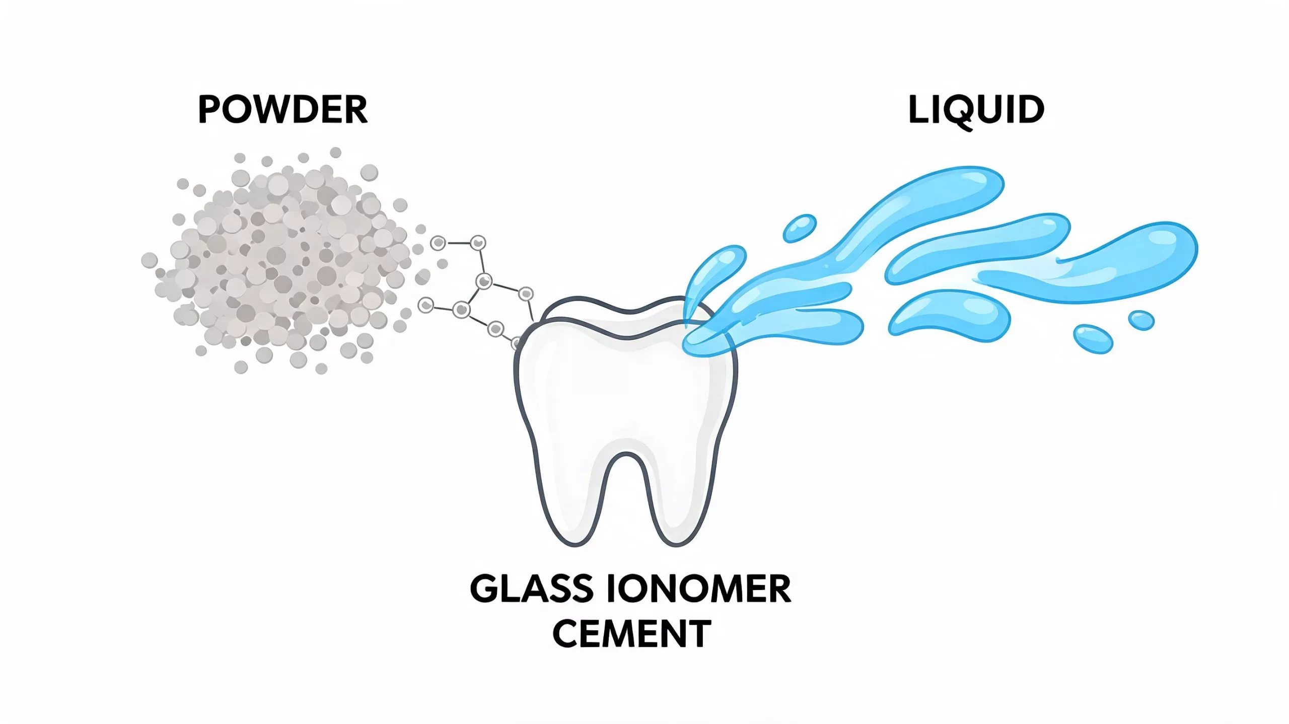 Illustration der Komponenten Pulver und Flüssigkeit, die zur Herstellung von Glasionomerzement für zahnärztliche Anwendungen verwendet werden.