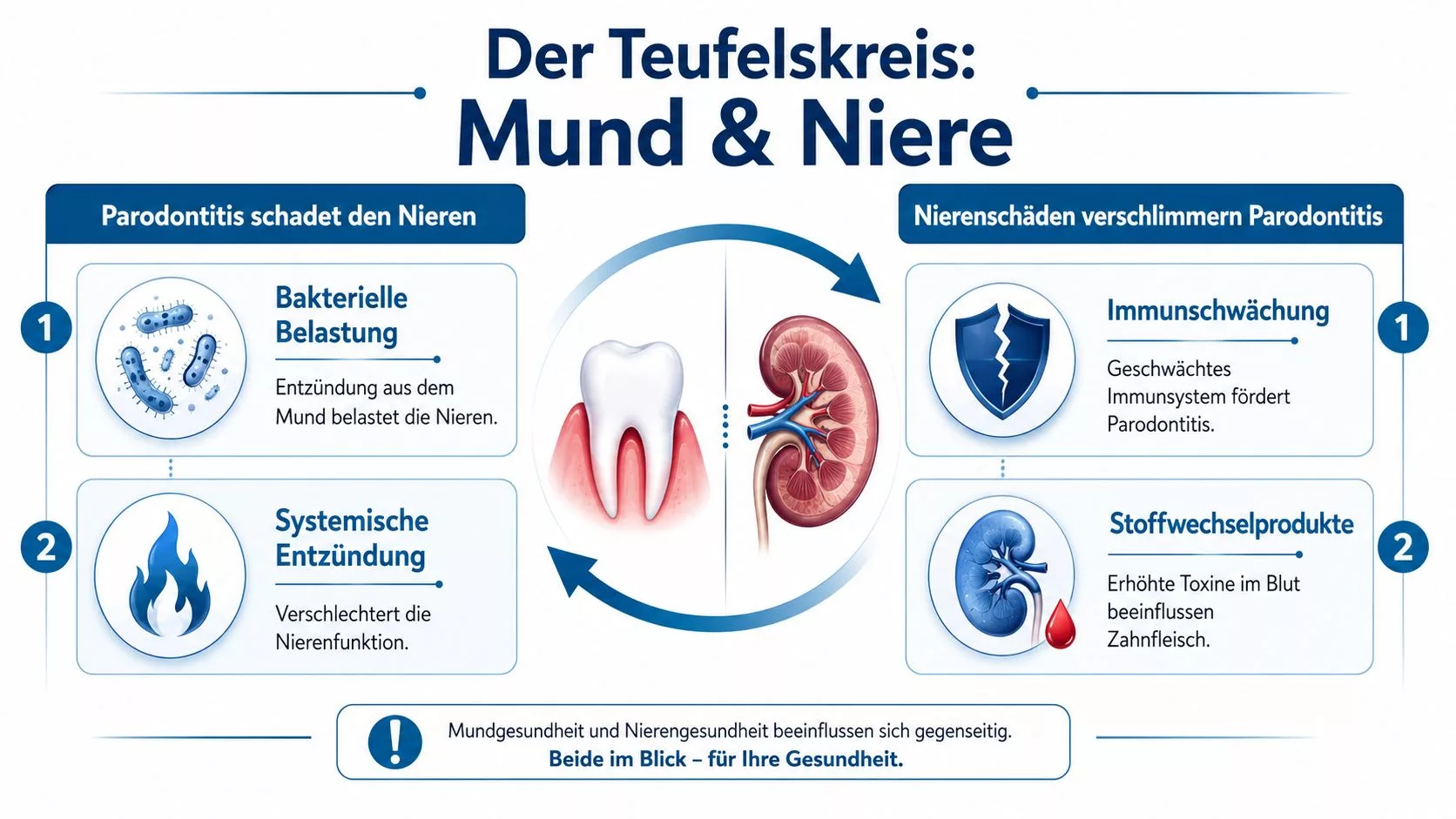 Eine Infografik zeigt den wechselseitigen Zusammenhang zwischen Parodontitis und Nierenerkrankungen in einem Teufelskreis-Modell.