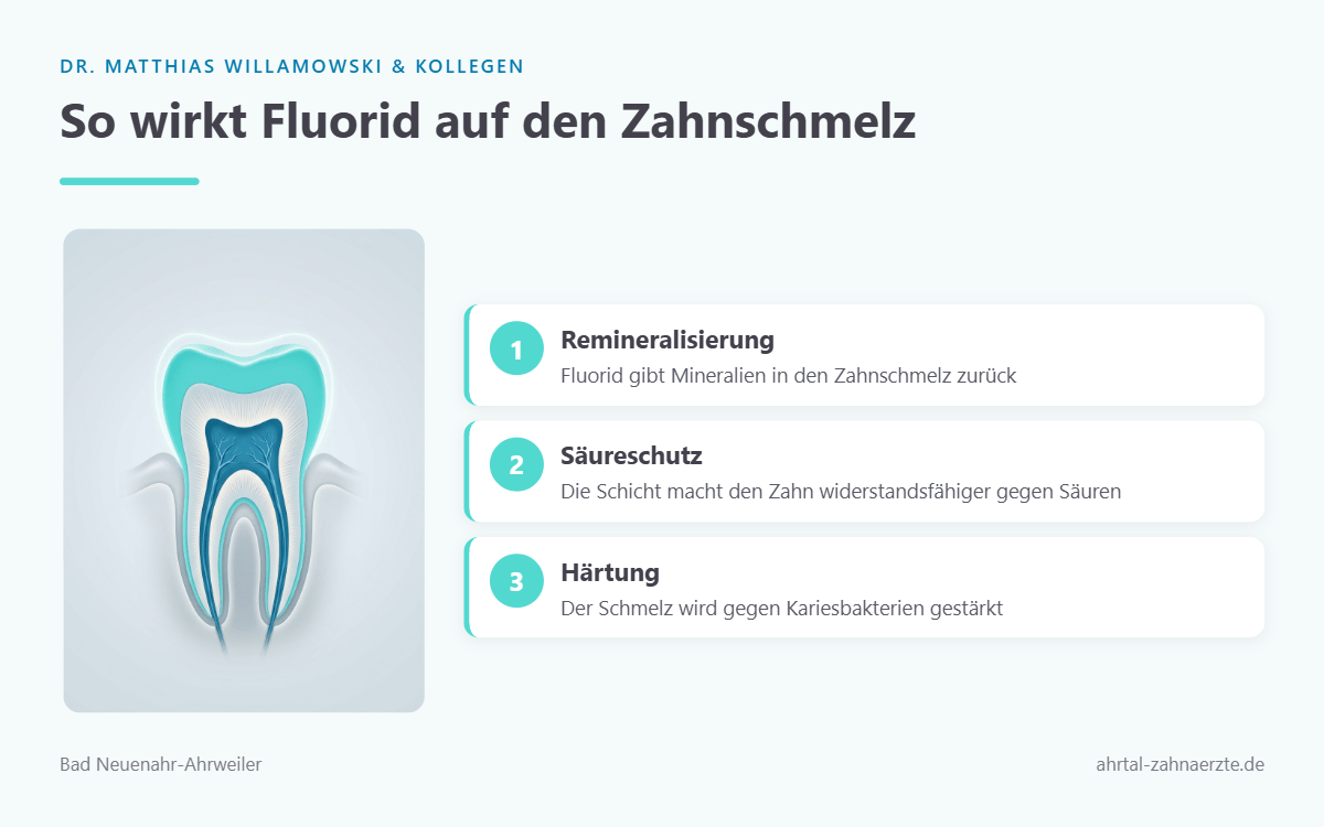 Querschnitt durch einen Zahn, der die schützende Fluoridschicht auf dem Zahnschmelz zeigt