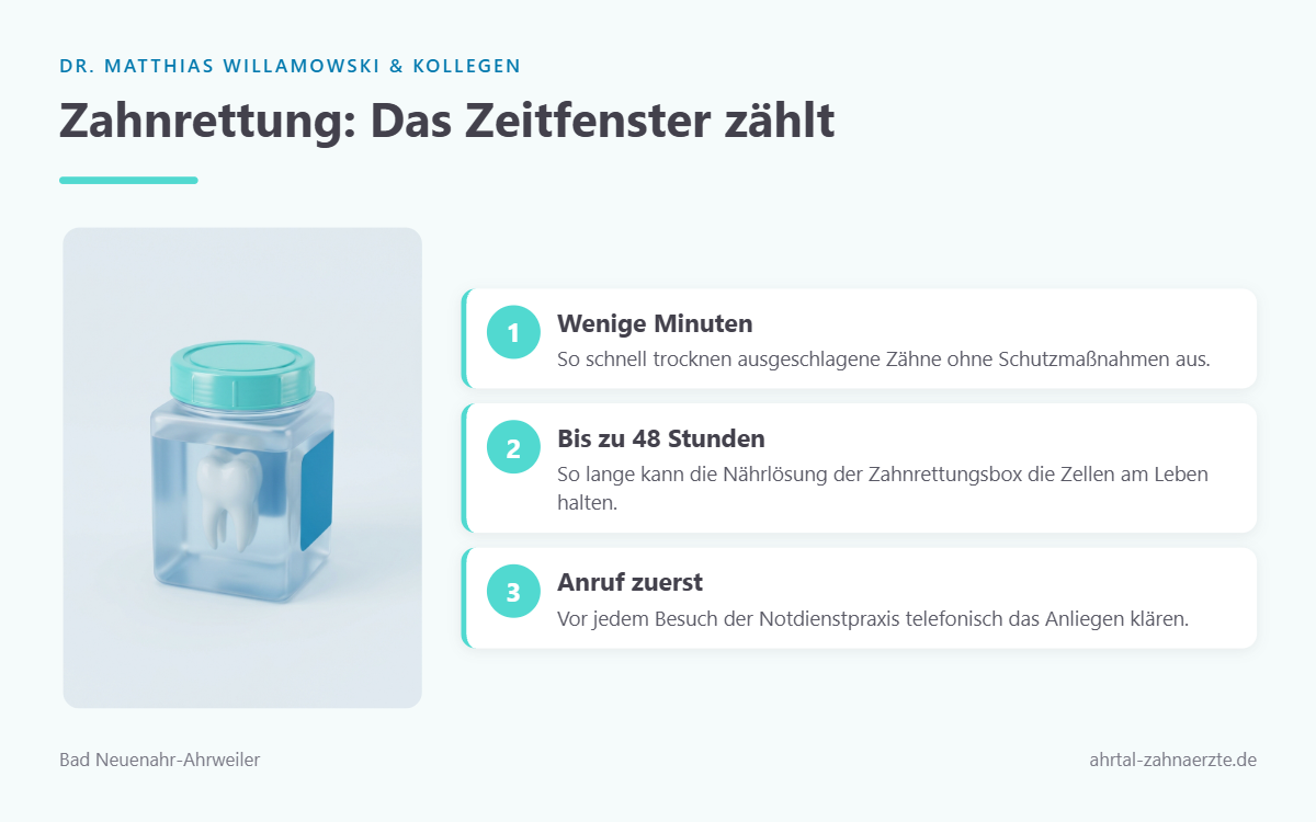Eine stilisierte Zahnrettungsbox mit einem einzelnen Zahn in Nährlösung, freigestellt