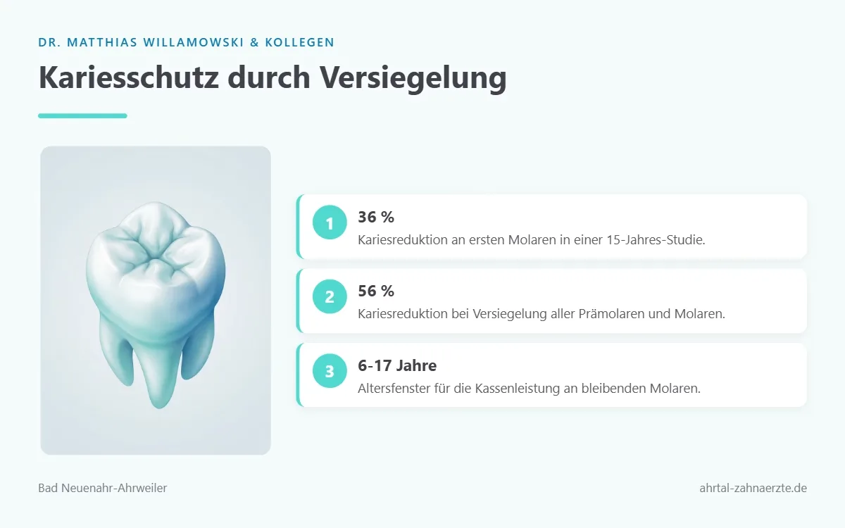 Ein einzelner freigestellter unterer Molar mit hell hervorgehobener, versiegelter Kaufläche als Symbol für den Kariesschutz.