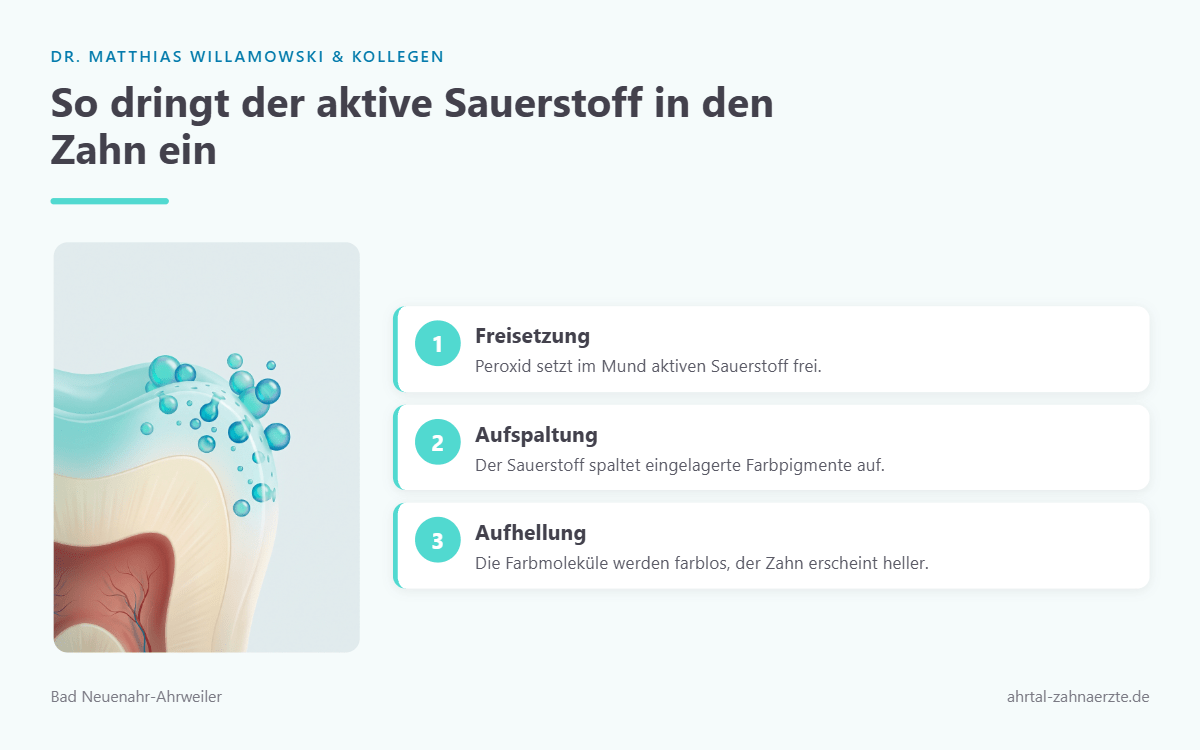 Ausschnitt eines Zahns, an dessen Oberfläche kleine Sauerstoffbläschen in den Zahnschmelz eindringen und Farbpigmente aufspalten.
