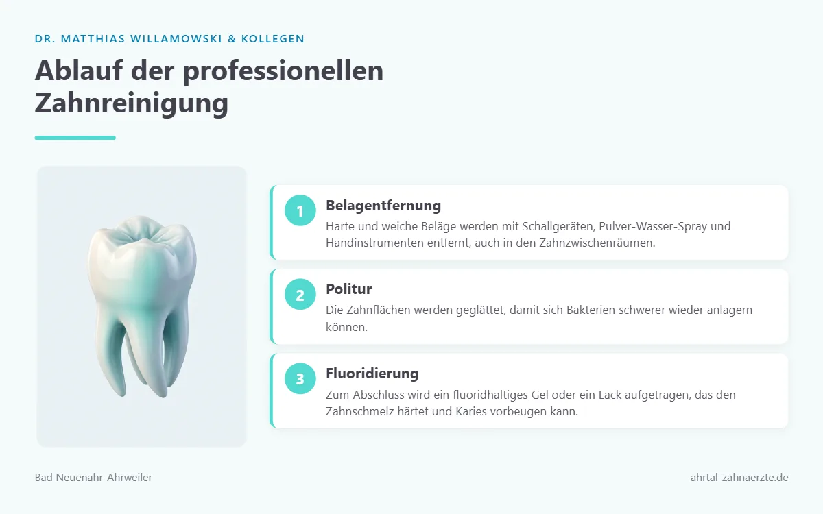 Illustration eines sauberen Backenzahns mit glatter polierter Oberfläche als Symbol für die gereinigten Zähne nach der Behandlung