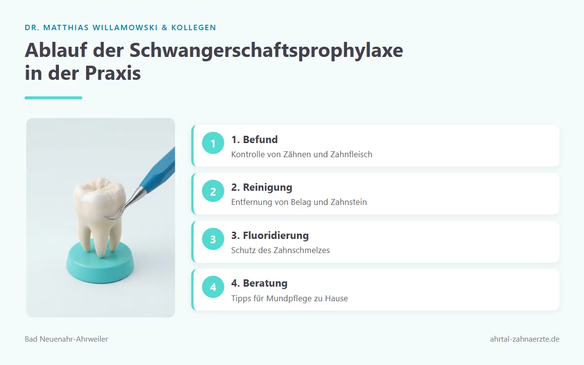 Darstellung einer professionellen Zahnreinigung an einem freigestellten Zahnmodell mit Reinigungsinstrument an der Zahnoberfläche